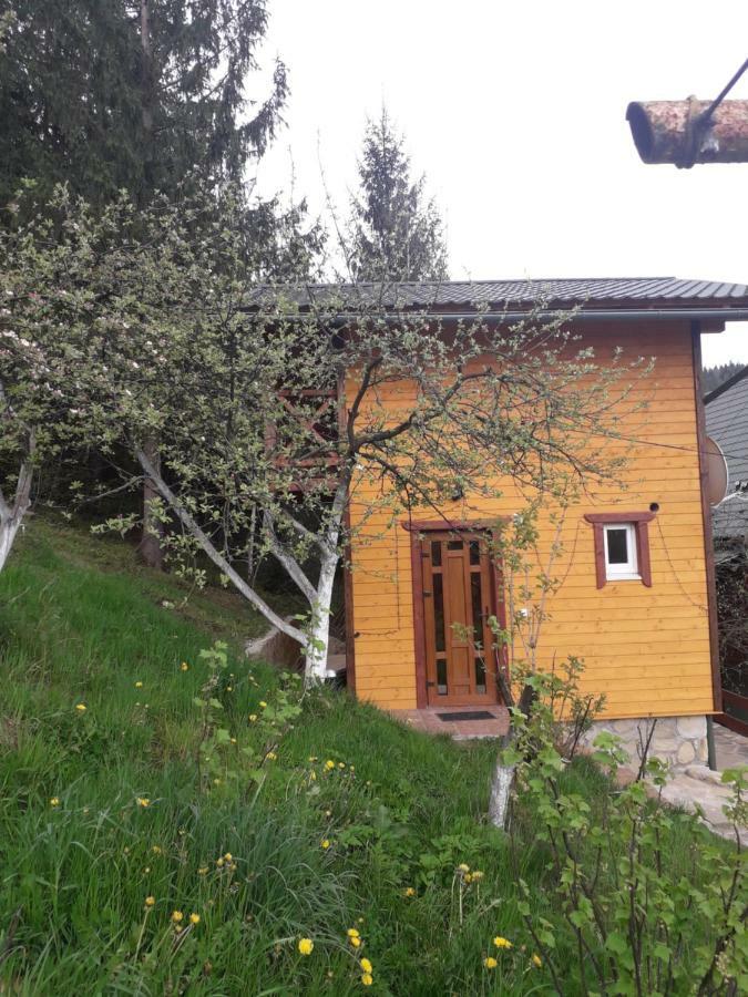 Смериковий Yaremche Bagian luar foto