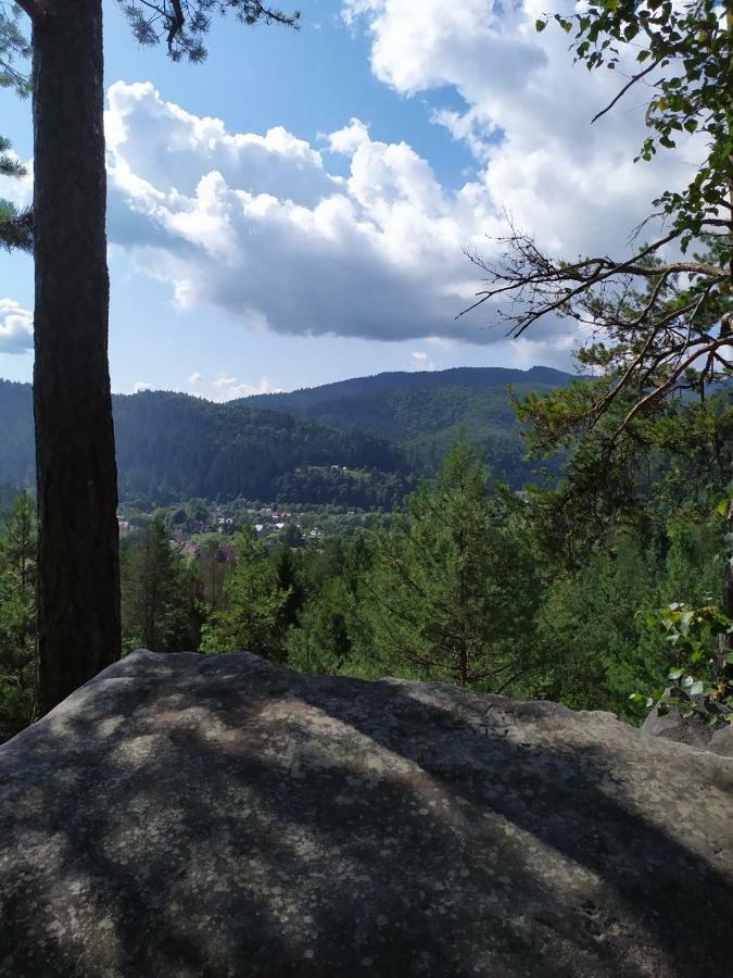 Смериковий Yaremche Bagian luar foto